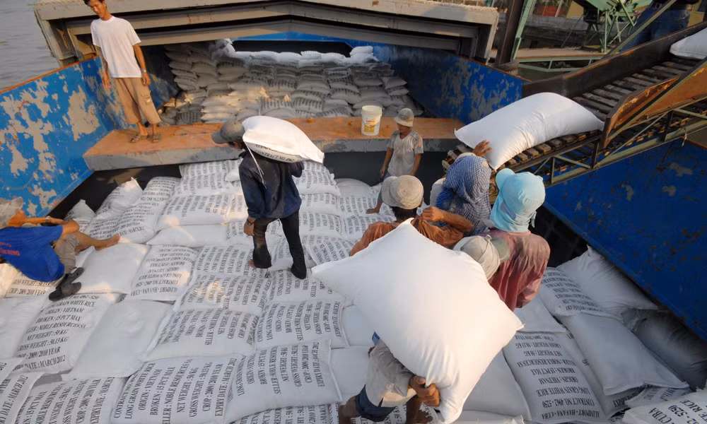 Xuất khẩu gạo tiếp tục khởi sắc?