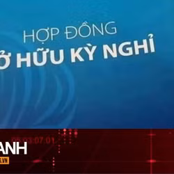 TIN NHANH: Vì sao nhiều người vẫn sập bẫy 'hợp đồng kỳ nghỉ'?