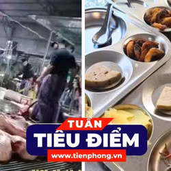 TIÊU ĐIỂM: Ai chịu trách nhiệm để lợn bệnh vào bữa ăn của người tiêu dùng?