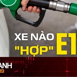TIN NHANH: Xăng E10 sắp được bán trên cả nước, có ảnh hưởng động cơ xe không?