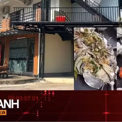TIN NHANH: Hé mở tình tiết mới vụ ăn cua hoàng đế, tôm Alaska hết 16 triệu đồng