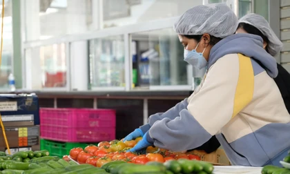 Giá rau củ quả cao ngất ngưởng