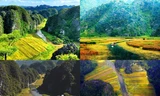 Hè này, bạn đã thử leo lên đỉnh Hang Múa và ngắm trọn "mùa vàng Tam Cốc"?