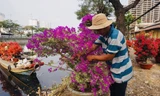 Sôi động cảnh hoa Tết miền Tây theo ghe lên thành phố