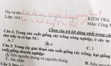 Học trò quên điền thông tin trong bài kiểm tra, giáo viên nhắc: "Em là ai? cô gái hay nàng tiên"