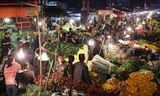 Hà Nội: Chợ hoa Quảng An 'không ngủ' dịp Tết 