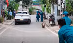 Khỉ hoang đại náo khu dân cư, phá hoại tài sản, tấn công vật nuôi ở Sơn La