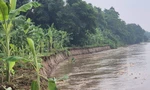 Bờ sông Thao sạt lở nghiêm trọng