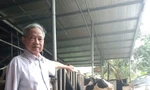 Typical farmers overcome difficulties to get rich