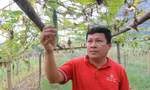 Người mở lối cho nông dân thoát nghèo