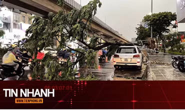 TIN NHANH: Vì sao dông lốc đôi khi nguy hiểm hơn cả bão?