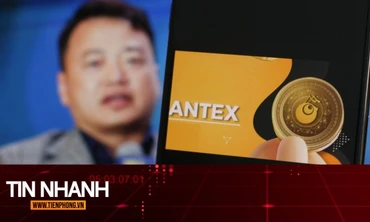 TIN NHANH: Toàn cảnh vụ lùm xùm liên quan dự án tiền số AntEx của Shark Bình 