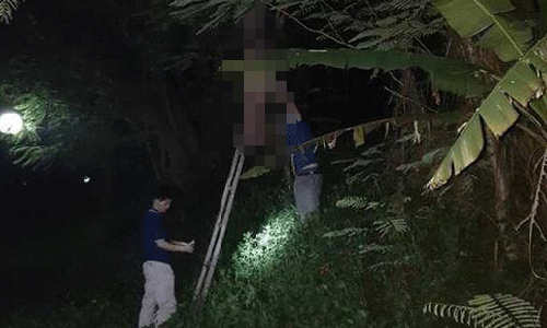 Nạn nhân treo cổ trên cây cao. Ảnh: T.Q.