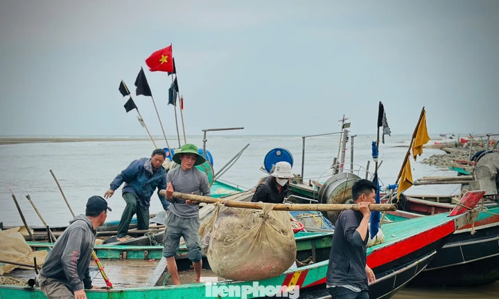 Ngư dân trúng đậm 'lộc biển' đầu năm 