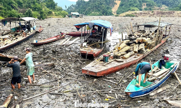 Cận cảnh rác gỗ 'khổng lồ' bủa vây hồ thủy điện lớn thứ 2 tỉnh Nghệ An