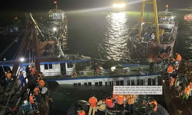 Manulife hỗ trợ chi trả nhanh cho khách hàng trong vụ lật tàu tại Hạ Long