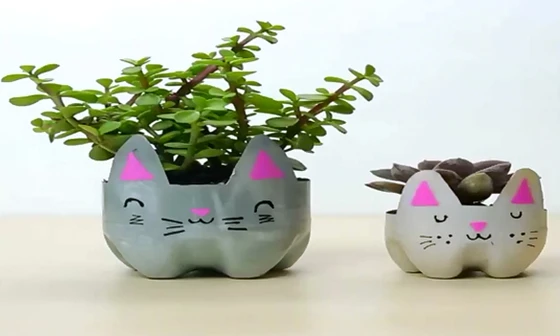 Biến chai nước bỏ đi thành chậu cảnh nhỏ xinh