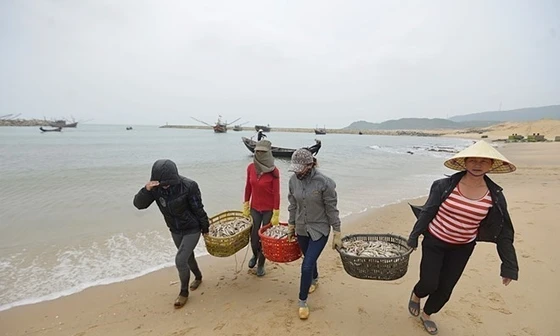 Hà Tĩnh kỷ luật hàng loạt cán bộ liên quan đến vụ Formosa