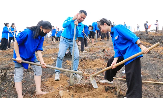 Giáo viên và học sinh trồng vạn cây xanh đầu năm mới