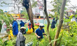 Tuổi trẻ Quảng Trị xung kích hỗ trợ người dân khắc phục hậu quả bão số 10