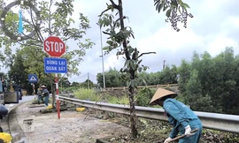 Bổ sung biển báo, kiểm soát tốc độ trên đường Hồ Chí Minh nhánh Đông sau vụ tai nạn