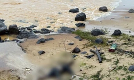 Phát hiện thi thể không nguyên vẹn trôi dạt vào bờ biển Cửa Tùng