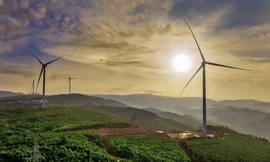 Khánh thành Nhà máy điện gió Hải Anh 1.500 tỷ đồng