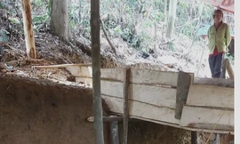 'Vàng tặc' tái xuất rừng phòng hộ Bến Hải: Đào lò, dựng lán như chốn không người