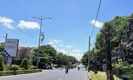 Vì sao đốn hạ, di dời hàng trăm cây xanh trên đường phố ở Quảng Trị?