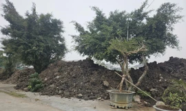 Dân khổ vì doanh nghiệp xây trường học ‘biến’ vỉa hè thành bãi rác