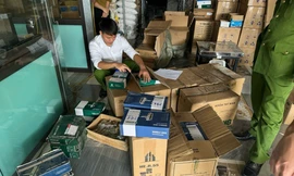 Lĩnh 2 năm tù vì buôn bán khóa Huy Hoàng, Việt Tiệp giả