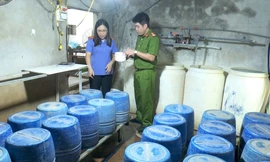 Khởi tố người phụ nữ dùng hóa chất sản xuất 1,4 tấn giá đỗ