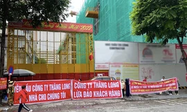 Một góc dự án.