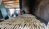 Làng cá nướng nổi tiếng tất bật vào vụ Tết