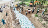 Gấp rút gia cố đê biển xung yếu, bảo vệ 600 hộ dân trước bão số 5 