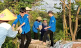 Tuổi trẻ Hà Tĩnh thực hiện nhiều hoạt động ý nghĩa Ngày Chủ nhật xanh