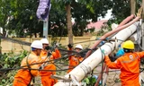 Suốt đêm ngày dựng lưới điện bị bão số 5 'xé tan' 