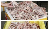 Phát hiện kho đông lạnh chứa hàng nghìn chân gà, xúc xích lậu
