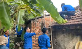 Thanh niên Hà Tĩnh hỗ trợ người dân phòng chống bão số 5