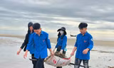 Tuổi trẻ Hà Tĩnh thu gom rác, làm sạch bãi biển sau bão số 3