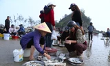 Mở biển lấy lộc, chợ hải sản ven biển nhộn nhịp ngày đầu năm