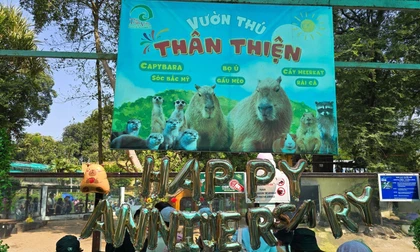 Giới trẻ rủ nhau đến Thảo Cầm Viên mừng kỷ niệm một năm Capybara "debut"