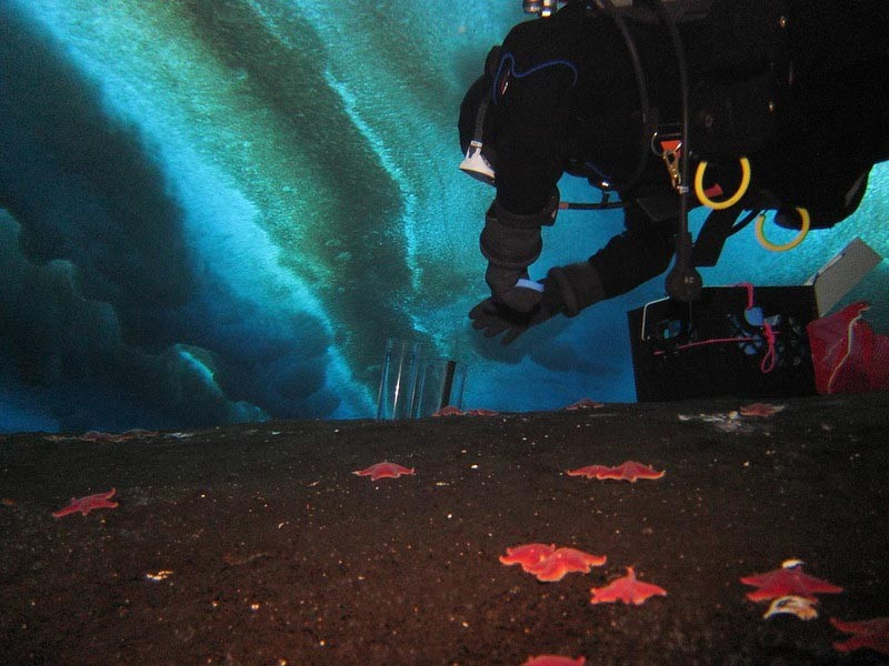 Các nhà nghiên cứu nhận định, hiện tượng này có liên quan trực tiếp đến biến đổi khí hậu. (Ảnh: SciTechDaily)