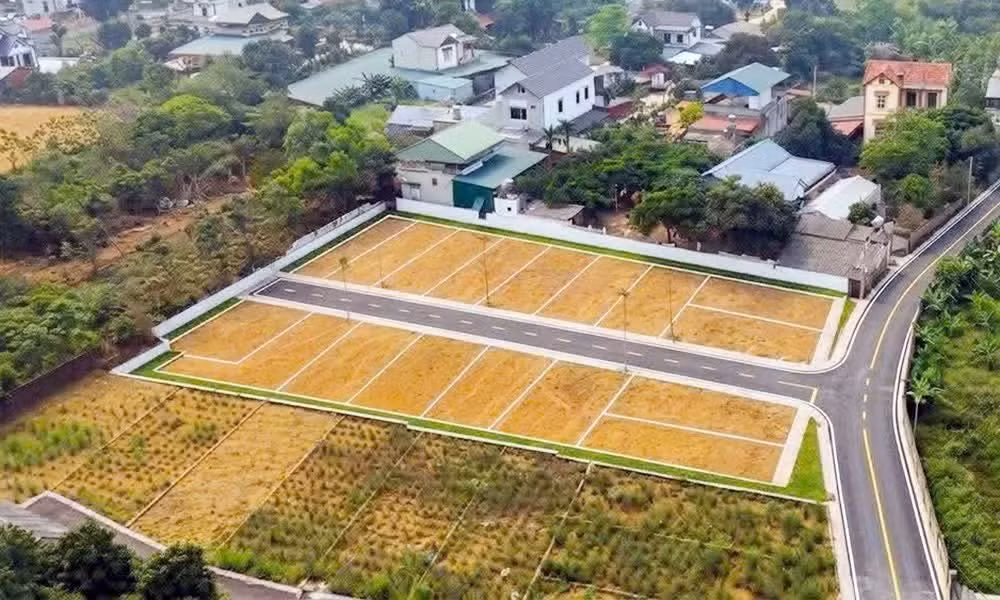 dat-nen-hoa-lac1.jpg