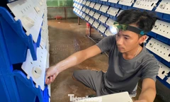 Về quê khởi nghiệp và kỳ vọng giảm nghèo cho người dân