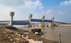 Thanh Hóa thúc đẩy đưa công trình cầu cống thủy lợi 'khủng' vào vận hành trước Tết