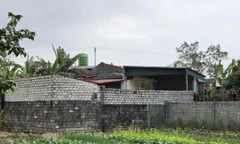 Nguyên nhân vụ án mạng khiến 3 người tử vong