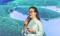 Để Nghệ An thành trung tâm du lịch Bắc Trung bộ 