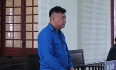 Lập công ty ‘ma’, lừa bán phân bón giá rẻ chiếm đoạt tiền tỷ