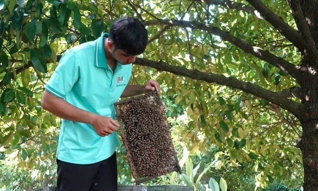 Khởi nghiệp thanh niên nông thôn 2025: Nhiều dự án phát huy tài nguyên bản địa, bảo vệ môi trường ghi danh